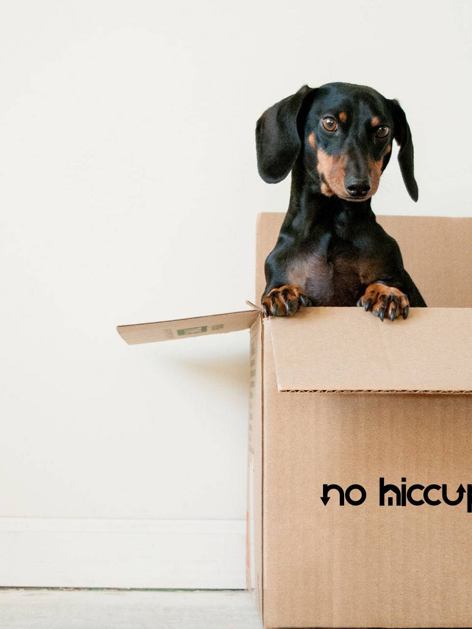No Hiccup Pick Up Delivery Sydney